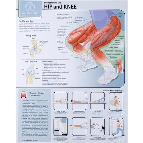 knee chart