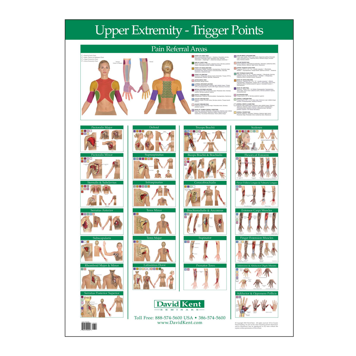 Trigger Point Chart Upper Extremity Therapy Charts