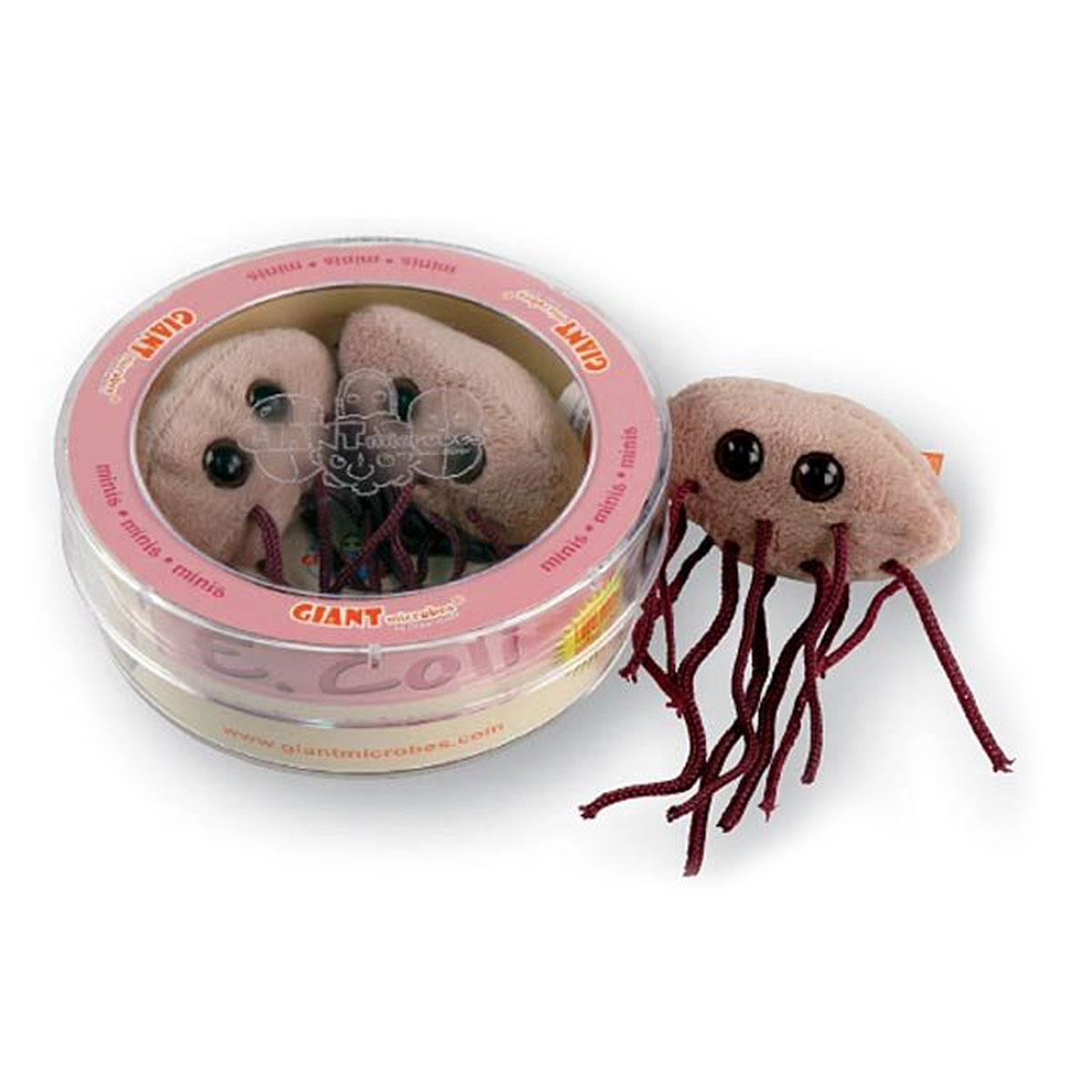 giant microbes e coli