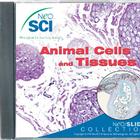 Animal Tissue Cell