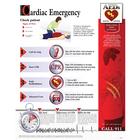 Cardiac Emergency