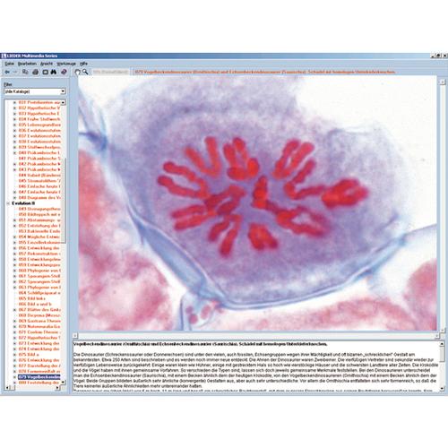 Wonder of the Plant Cell, Interactive CD-ROM - 1004293 ...