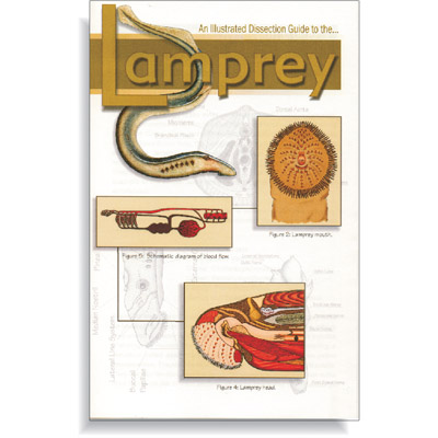 Dissection Guide to Lamprey - W4R5305 - Ranaco - 420.4074 - Biology ...