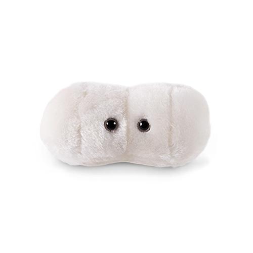 giant microbes cavity