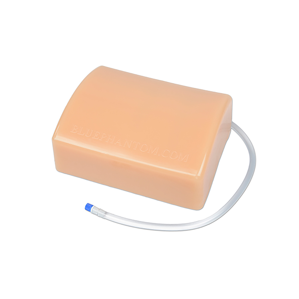 Blue Phantom Abscess Drainage Ultrasound Training Model - 3012451 ...