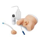 Catheterization Training Products - Skills Training Products - Medical ...